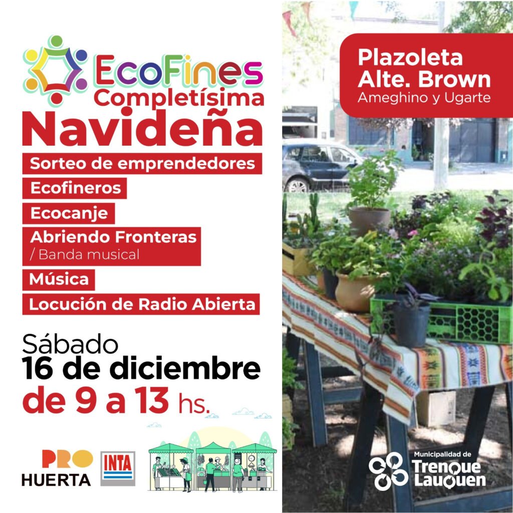 Feria ecofines navideña - cultura para armar