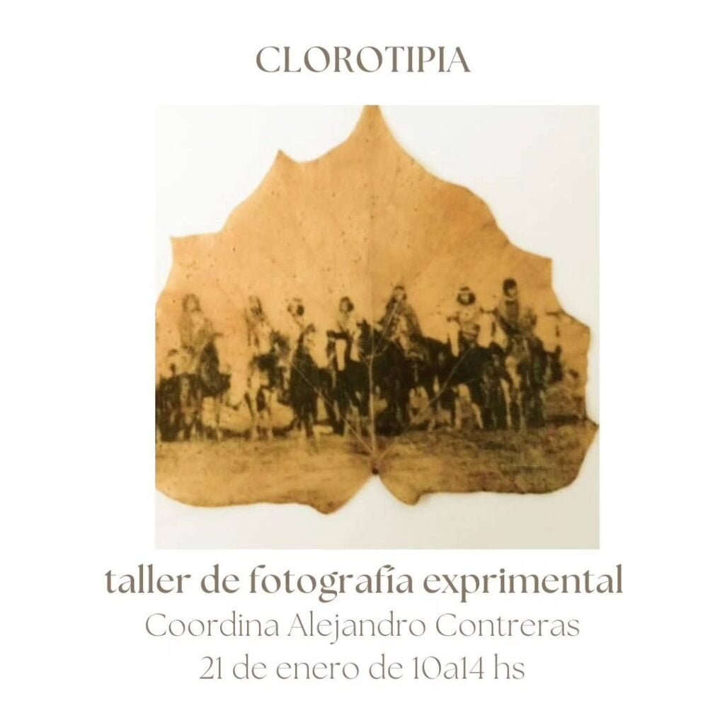 Taller de clorotipia - Cultura para armar