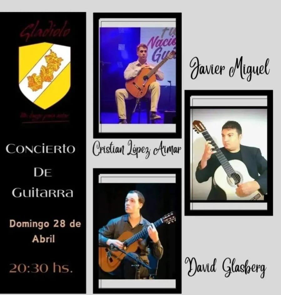 concierto de guitarra - cultura para armar
